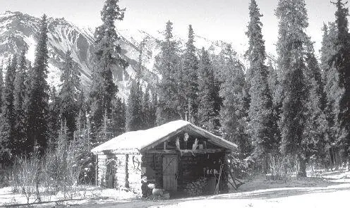 Nestled in the forest under the jagged peaks of the Alaska Range the old cabin - фото 80