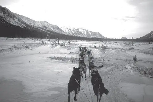 Many mushers say the twenty miles of trail between Rohn and Farewell Lakes is - фото 82