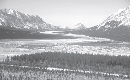 The runway at Rohn is in the foreground and valley of the South Fork of the - фото 83