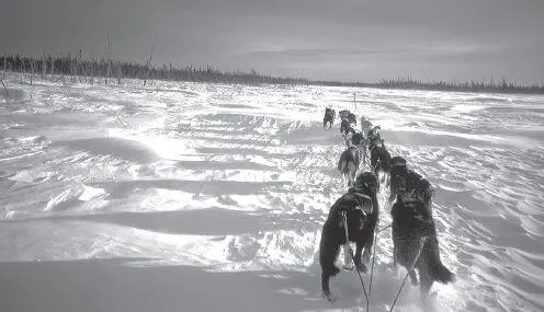 The trail across the Burn to Nikolai can drift in within hours when winds come - фото 84