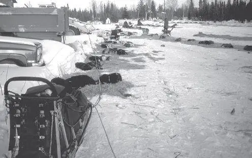 Checkpoints like Nikolai offer a chance for teams and drivers to rest and - фото 86