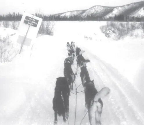 The onelane gravel road from Takotna to Ophir was built in the 1920s to - фото 88
