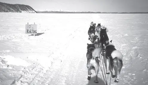 Mileposts are virtually unknown on the Iditarod but the people of Kaltag are - фото 97