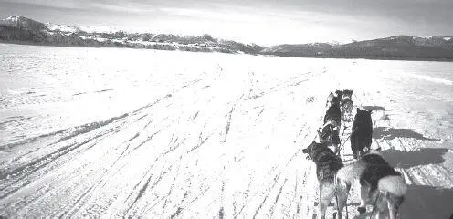 The Koyukon Athabaskan village of Kaltag on its high bank marks the end of the - фото 98