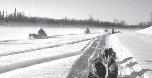 The trail sweeps are important to every musher running in the back of the pack - фото 106