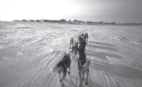 The trail arrives on the Bering Sea coast at the ancient village of Unalakleet - фото 107