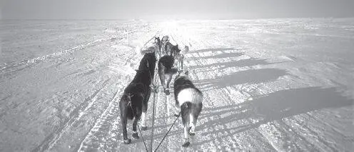 The 50mile expanse of open sea ice across Norton Bay from Shaktoolik to Koyuk - фото 114