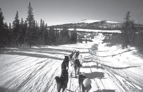 The 9mile state highway from Moses Point to Elim is left unplowed in the - фото 119