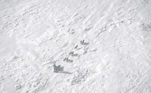 By the time they reach the bleak expanse of the Bering Sea coast teams can be - фото 123