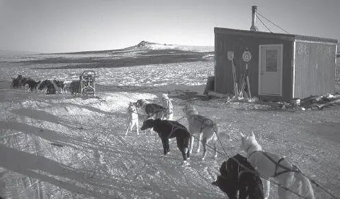 The Nome Kennel Club maintains a snug shelter cabin at the west foot of the - фото 125