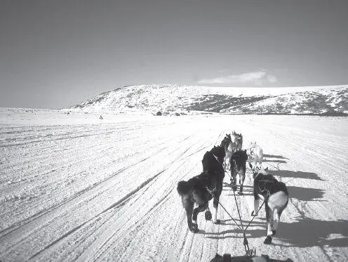 The theme song of John Waynes North to Alaska celebrated the gold beneath - фото 128