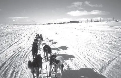 For the last few miles into Nome the trail runs along the shore of the Bering - фото 129