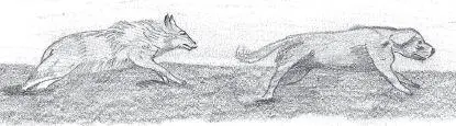 Robby walked through the night and the next day He walked through marshland - фото 162
