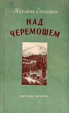 Михаил Стельмах Над Черемошем обложка книги