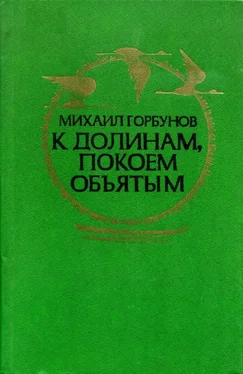 Михаил Горбунов К долинам, покоем объятым