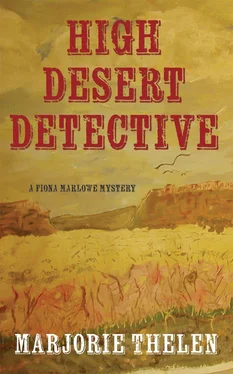 Marjorie Thelen High Desert Detective обложка книги