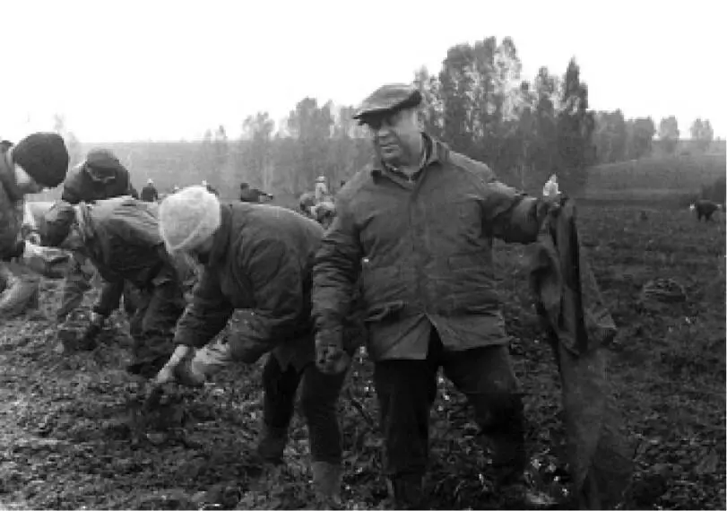 На картошке 1960е Заседание партбюро кон 1940х Госпиталь 1944 - фото 391