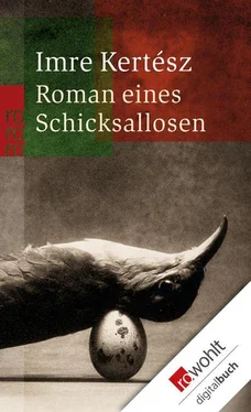 Imre Kertész Roman eines Schicksallosen обложка книги