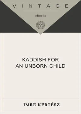 Imre Kertész Kaddish for an Unborn Child обложка книги