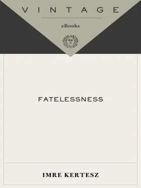 Imre Kertész Fatelessness обложка книги
