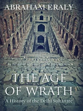 Abraham Eraly The Age of Wrath : A History of the Delhi Sultanate обложка книги