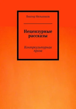 Виктор Мельников Нецензурные рассказы. Контркультурная проза обложка книги