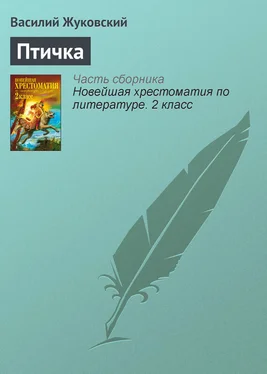 Василий Жуковский Птичка обложка книги