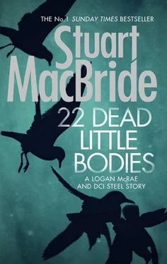 Stuart MacBride 22 Dead Little Bodies обложка книги