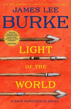 James Burke Light of the World обложка книги