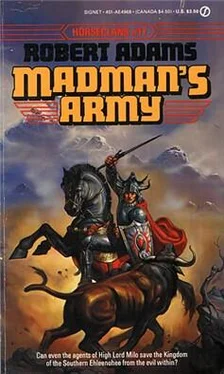 Robert Adams Madman's Army