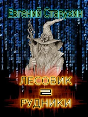 Евгений Старухин Рудники обложка книги