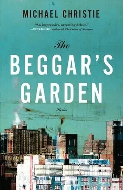 Michael Christie The Beggar's Garden обложка книги