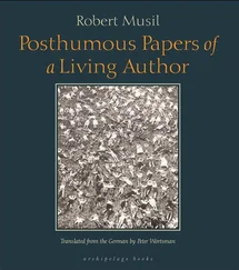 Robert Musil - Posthumous Papers of a Living Author