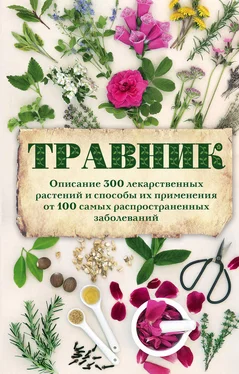 А. Подоляк Травник. Описание 300 лекарственных растений и способы их применения от 100 самых распространенных заболеваний обложка книги