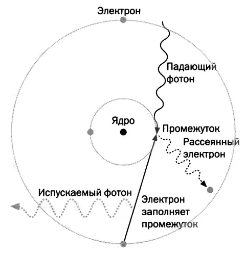ИНСТИТУТ КЮРИ Работа Марии привлекла внимание щедрых меценатов в частности - фото 51