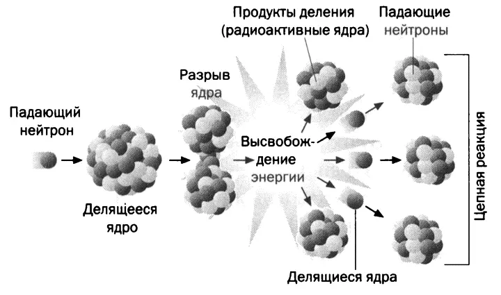Процесс столкновения медленного нейтрона с радиоядром порождает нестабильное - фото 59