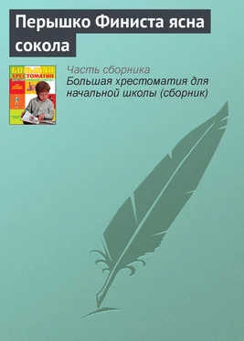 Паблик на ЛитРесе Перышко Финиста ясна сокола обложка книги