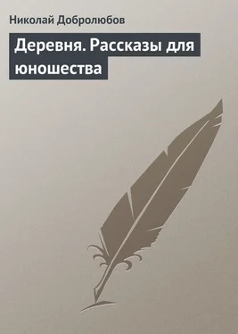 Николай Добролюбов Деревня. Рассказы для юношества обложка книги