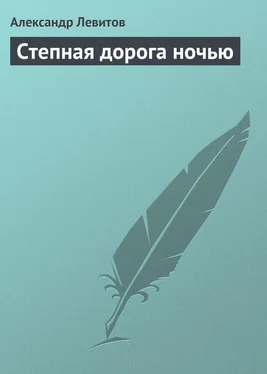 Александр Левитов Степная дорога ночью обложка книги