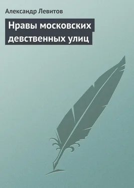 Александр Левитов Нравы московских девственных улиц обложка книги