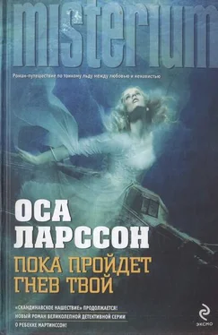 Оса Ларссон Пока пройдет гнев твой обложка книги