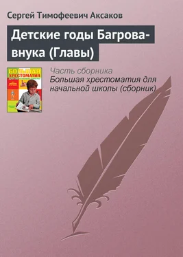 Сергей Аксаков Детские годы Багрова-внука (Главы) обложка книги