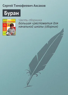 Сергей Аксаков Буран обложка книги