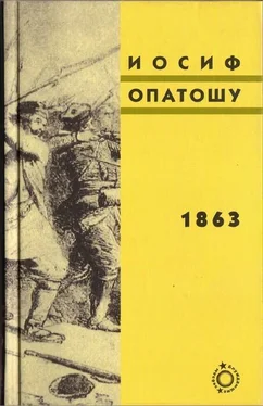 Иосиф Опатошу 1863 обложка книги