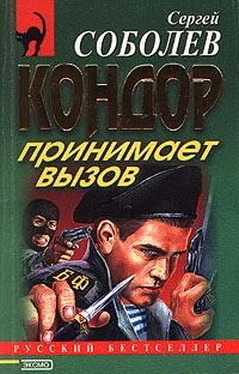 Сергей Соболев Кондор принимает вызов обложка книги