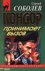 Сергей Соболев - Кондор принимает вызов