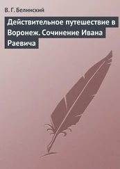 Виссарион Белинский - Действительное путешествие в Воронеж. Сочинение Ивана Раевича