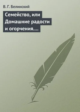 Виссарион Белинский Семейство, или Домашние радости и огорчения. Роман шведской писательницы Фредерики Бремер… обложка книги