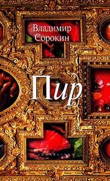 Владимир Сорокин Пир обложка книги