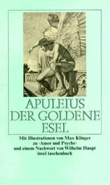 Lucius Apuleius Der Goldene Esel обложка книги